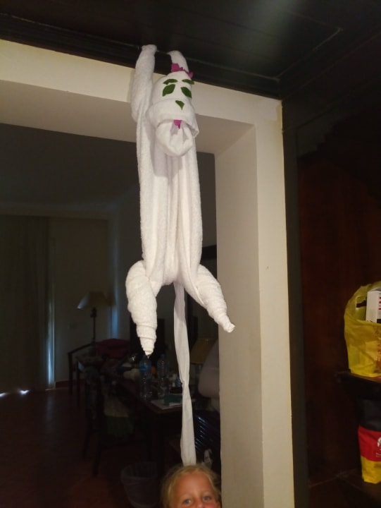 Zimmer Three Corners Sea Beach Resort