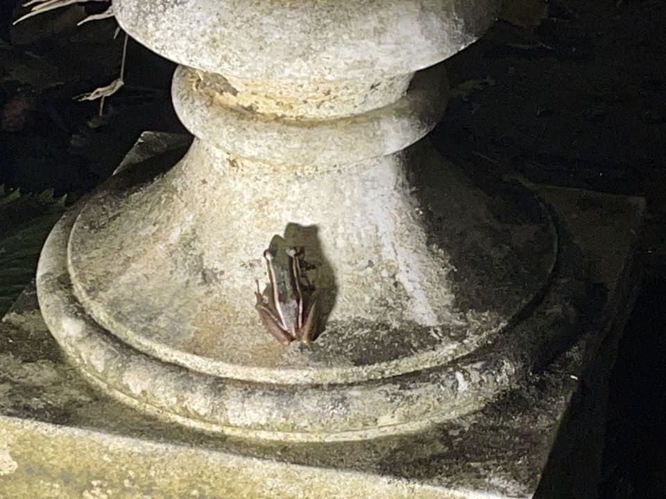 Gartenanlage Khaolak Laguna Resort