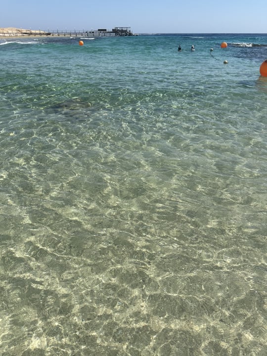 Strand Mövenpick Resort El Quseir