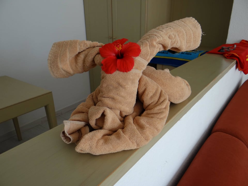 Neuer Bewohner SBH Hotel Taro Beach