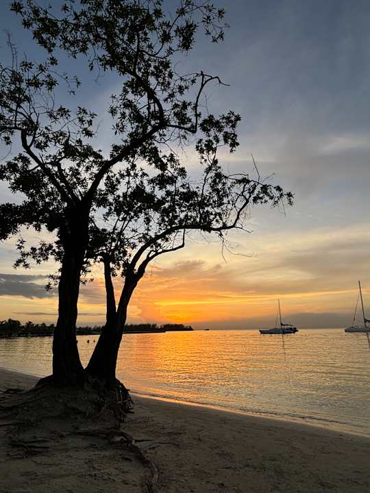 Strand Riu Montego Bay - Adults Only