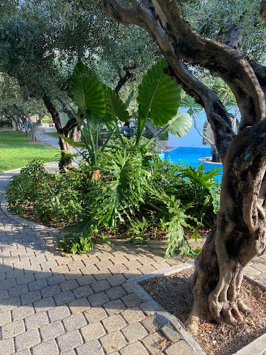 Gartenanlage TUI KIDS CLUB Alex Beach