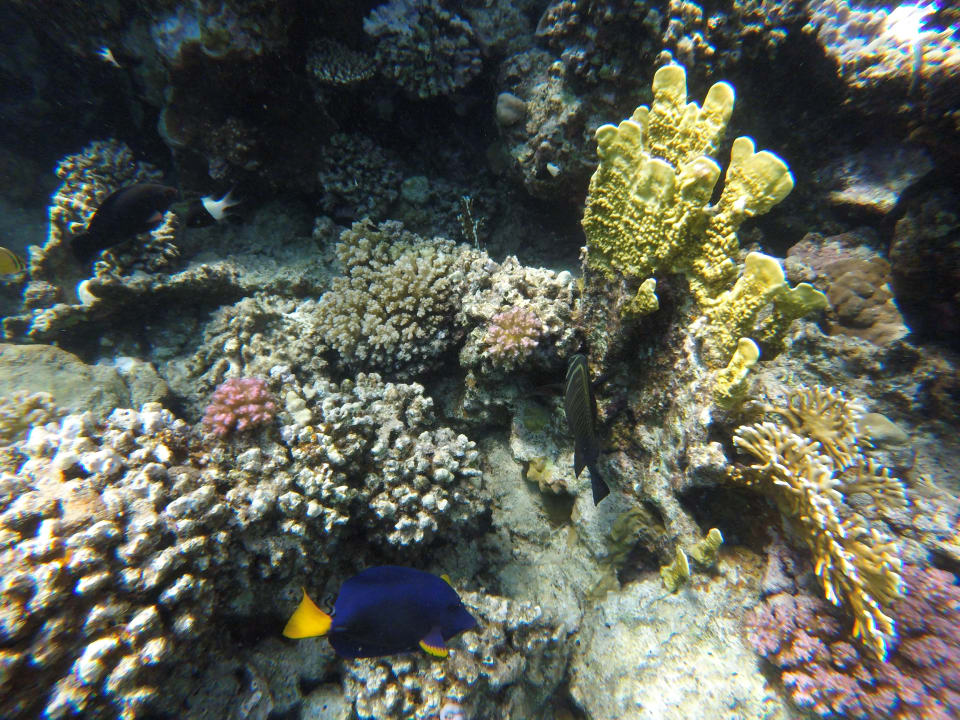 Strand Brayka Bay Resort