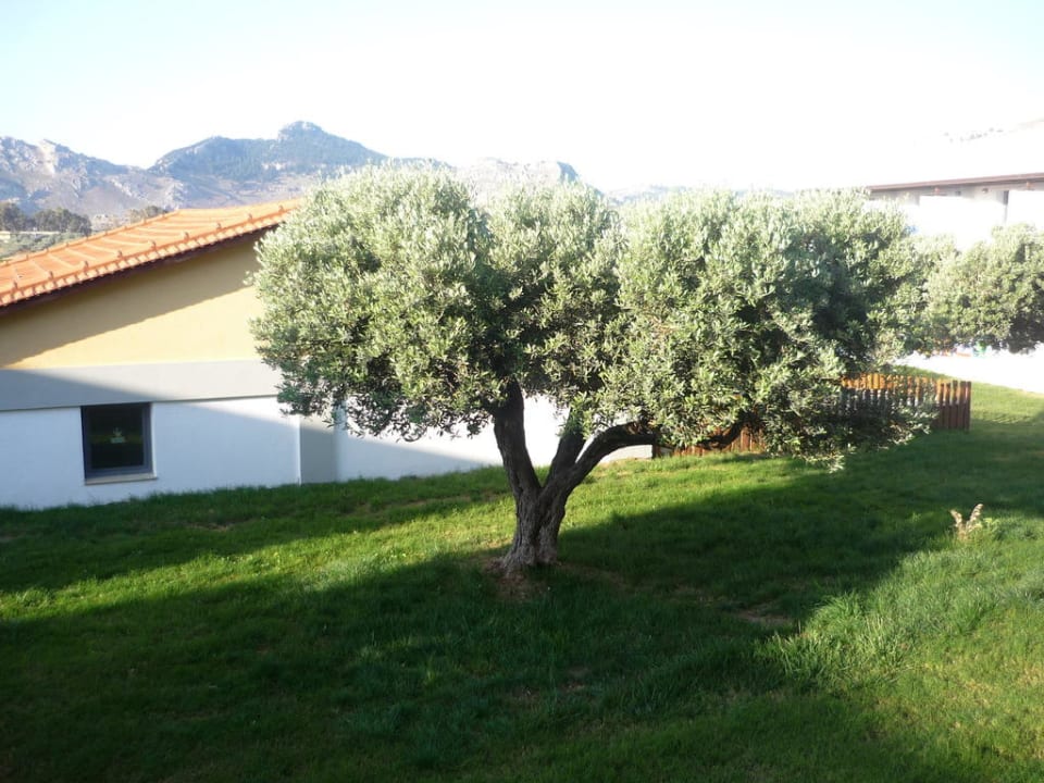 Vue Atlantica Mikri Poli Rhodes