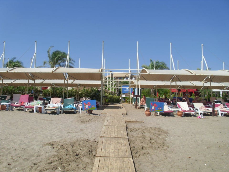 Strand Crystal Family Comfort Collection