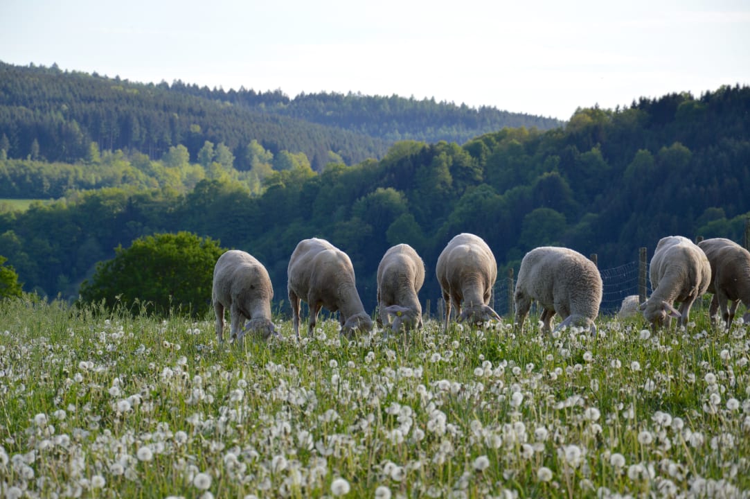 Sonstiges Seehotel Gut Dürnhof
