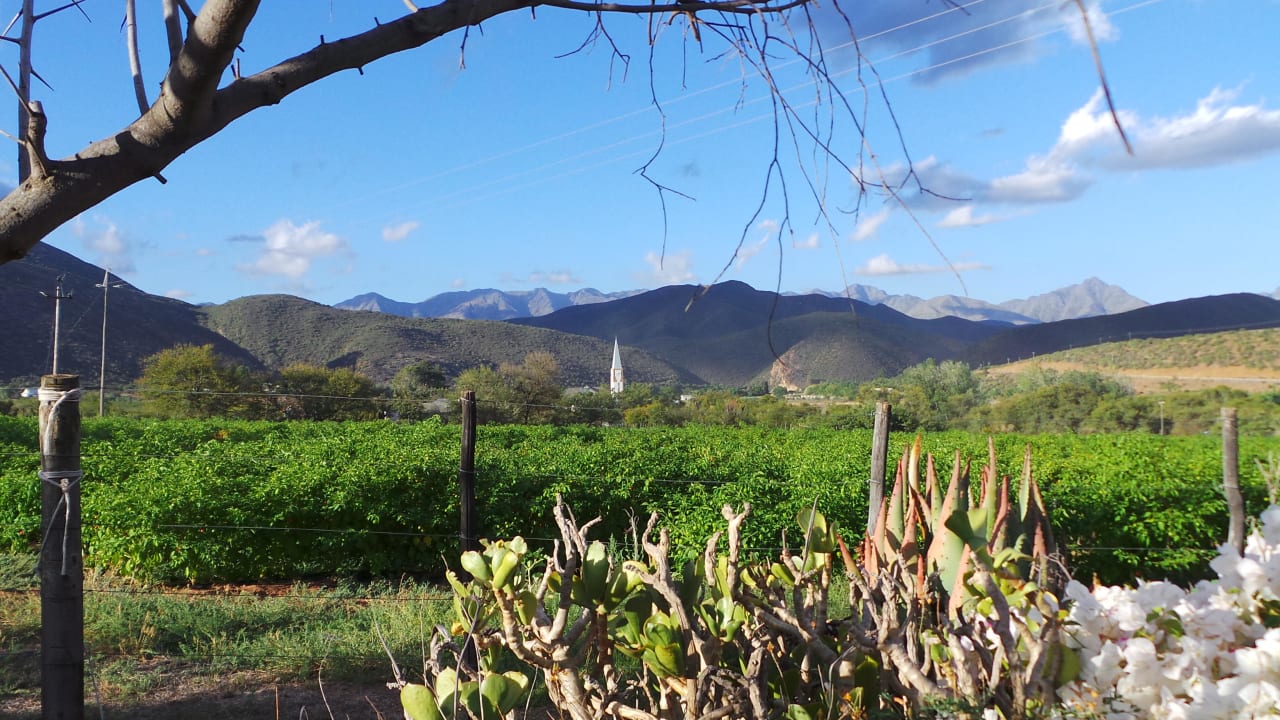 Ausblick Berluda Farmhouse & Cottages