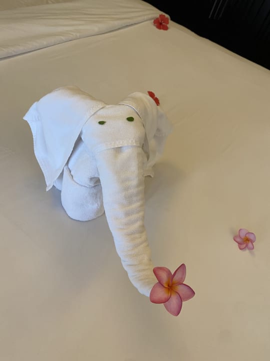 Zimmer Thaala Bentota