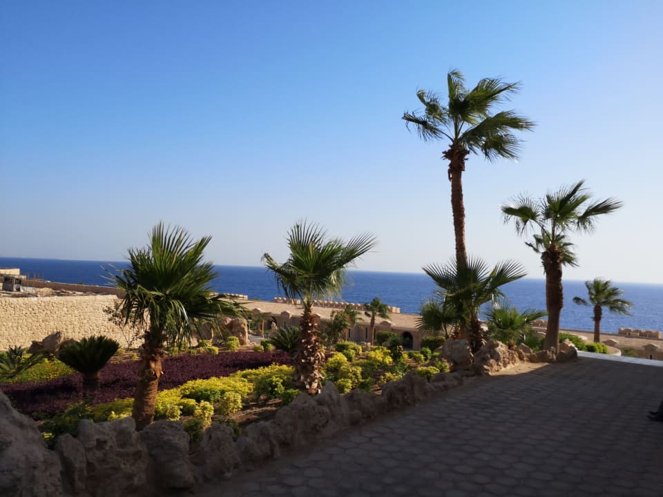Gartenanlage Pickalbatros Citadel Resort
