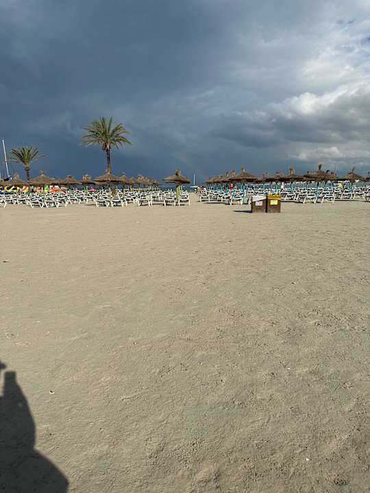 Strand Palma Beach Affiliated by FERGUS