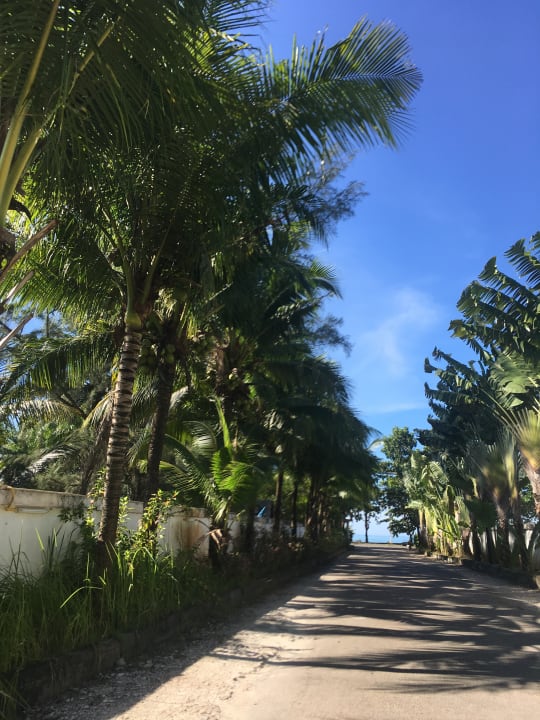 Kann zum Strand laufen  Aonang Ayodhaya Beach Resort & Spa