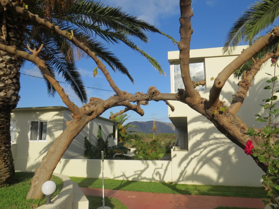 Gartenanlage HARPIN Georgioupolis Resort Aquapark & SPA