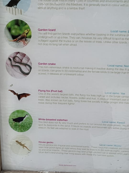 Sonstiges Sun Siyam Vilu Reef