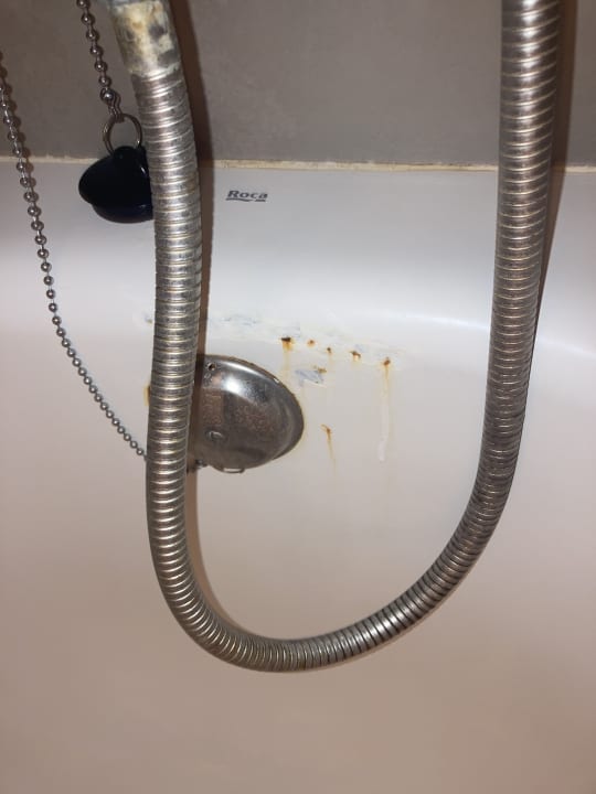 Zimmer blau punta reina