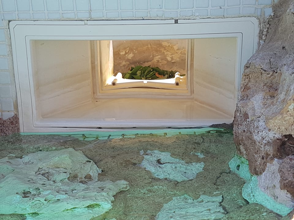 Sonstiges Ghazala Gardens