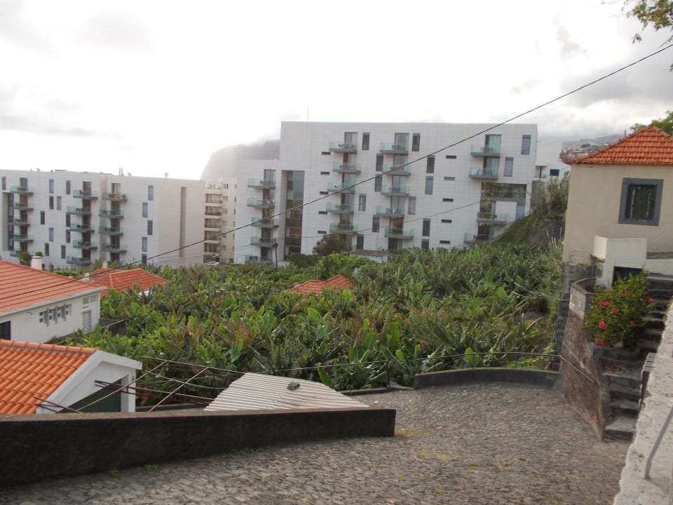 Die Hotelblocks mit vorgelagerter Bananenplantage Hotel Golden Residence