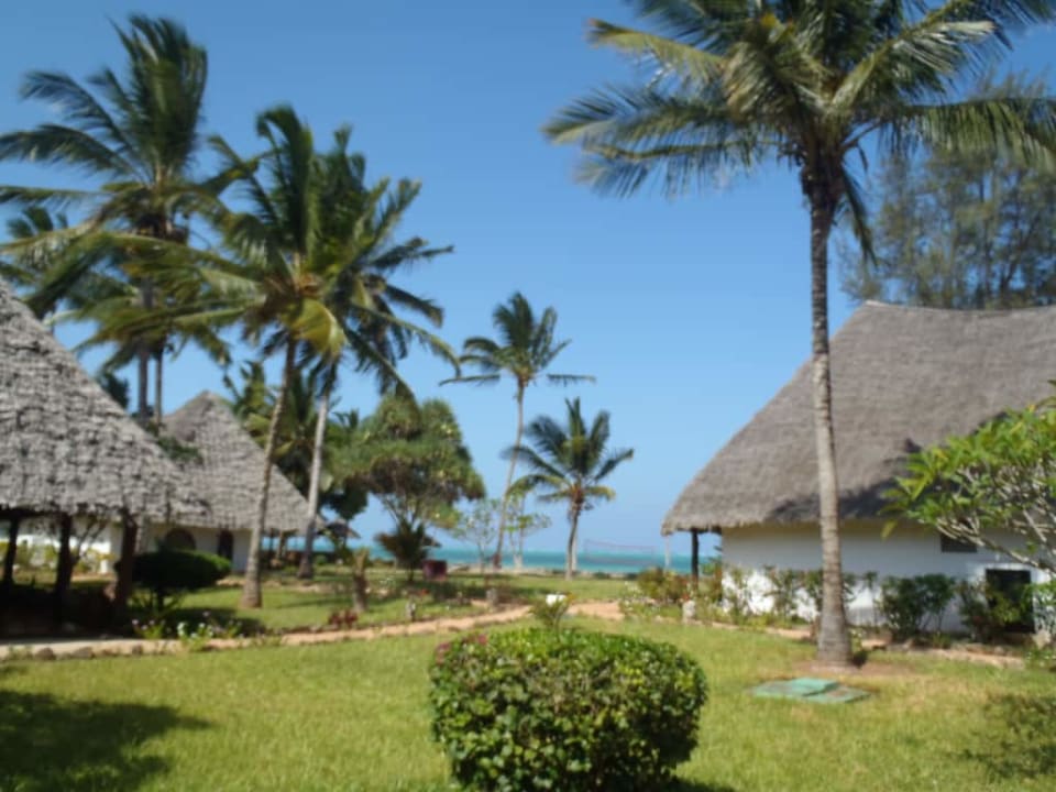 Ogród Hotel Kiwengwa Beach Resort