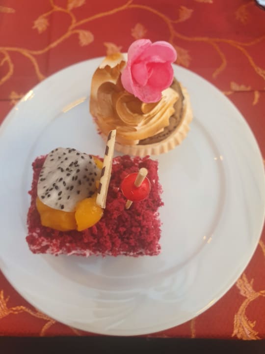 Gastro Delphin Deluxe Resort