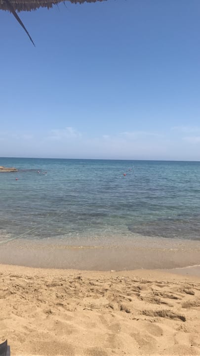 Strand Phãea Cretan Malia