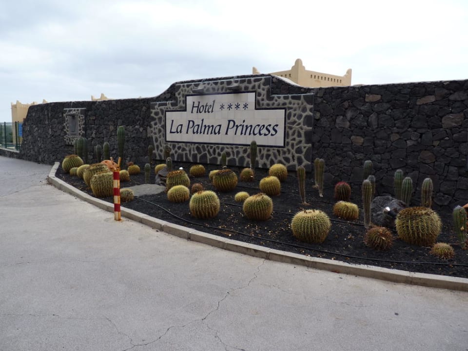 La Palma Princess La Palma Princess