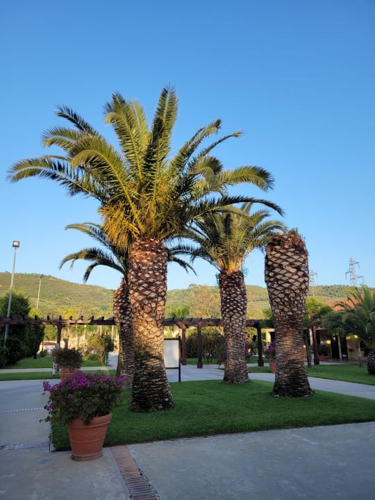 Gartenanlage TUI MAGIC LIFE Calabria