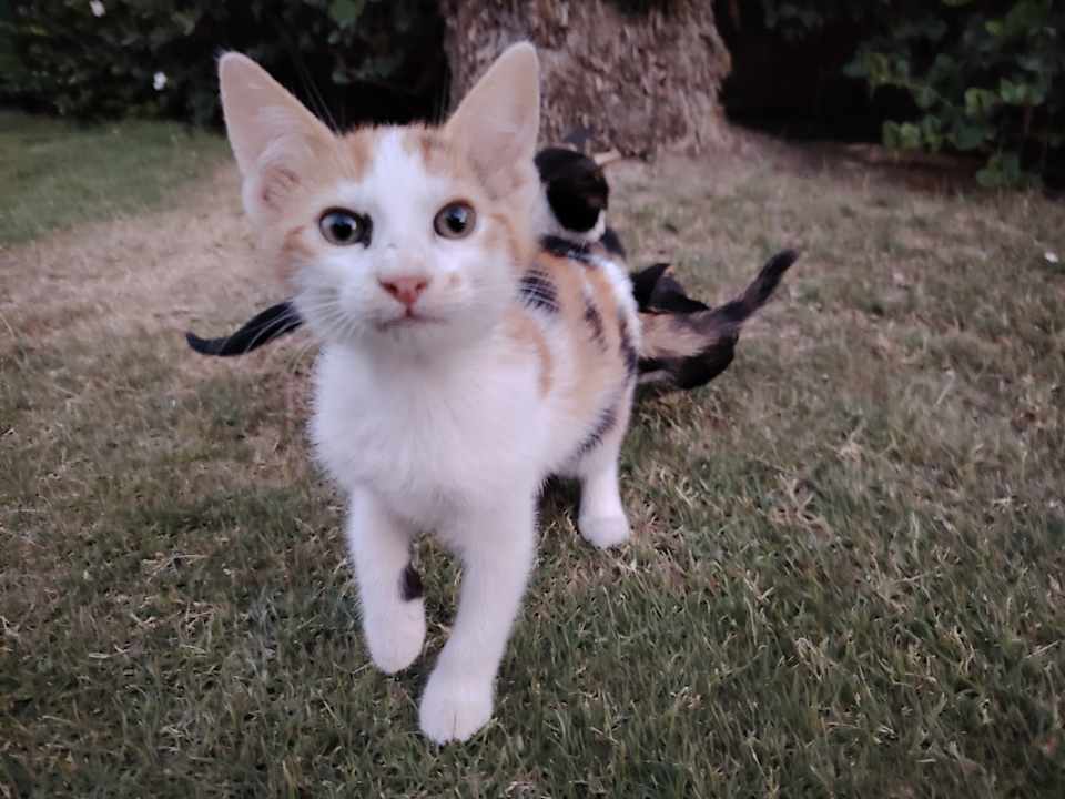 Sonstiges Stella Beach Resort & Spa Makadi Bay