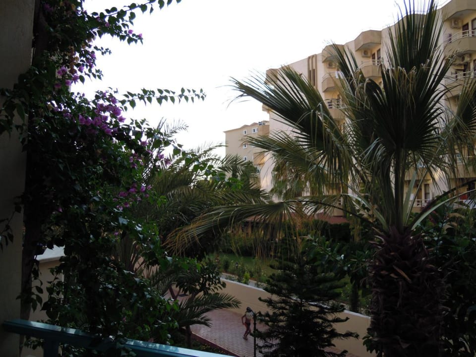 Widok z balkonu Club Hotel Mirabell