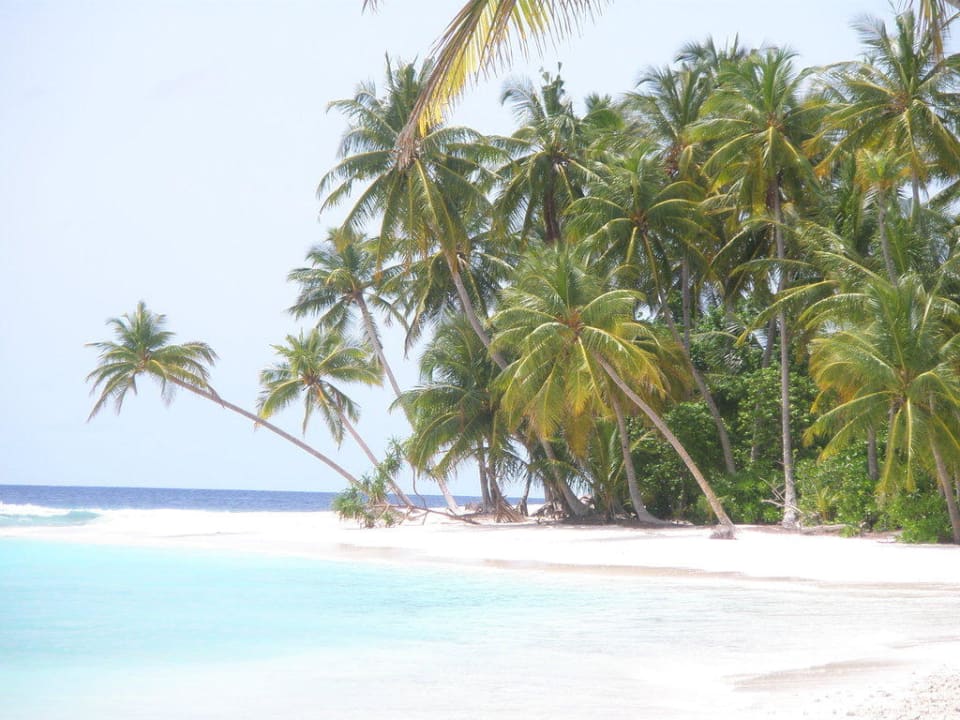 Palmen Filitheyo Island Resort