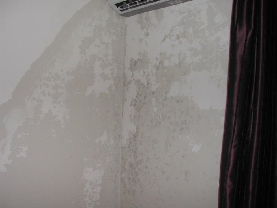 Schimmel im Zimmer Prestige Alanya