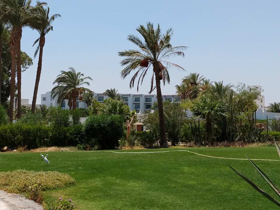 Gartenanlage Shams Safaga Resort
