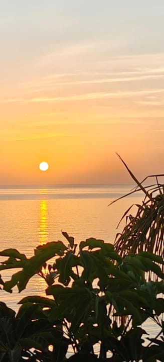 Zimmer Royal Palm Resort & Spa - Adults only