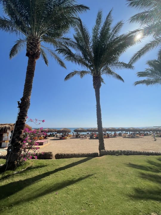 Strand Sentido Caribbean World Soma Bay