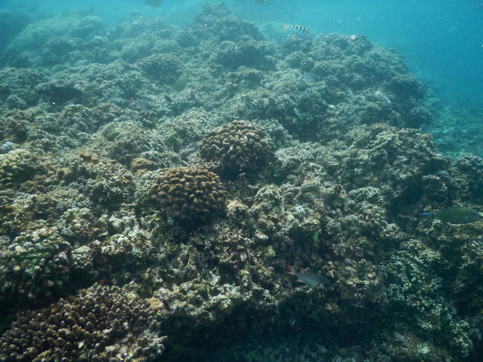 März 2016 Fihalhohi Maldives