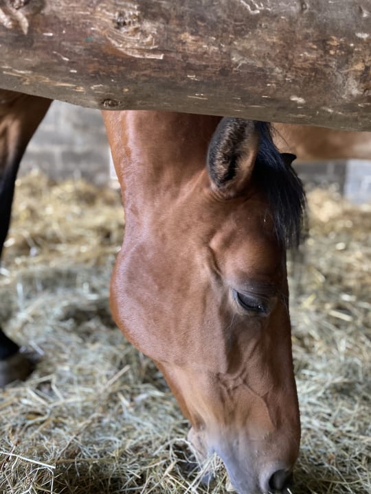 Sport & Freizeit Wiesenberghof