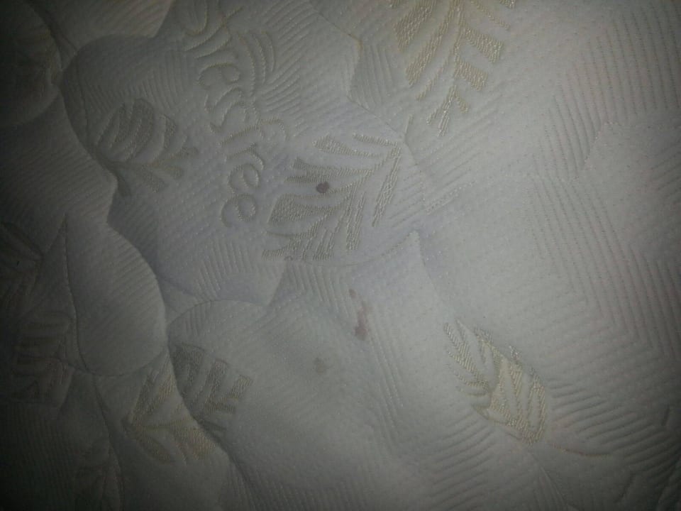 Blut und urin flecken Riverside Garden Resort