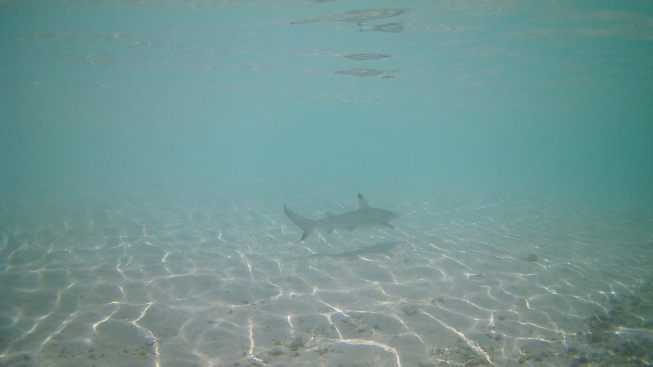 Sport & Freizeit Summer Island Maldives
