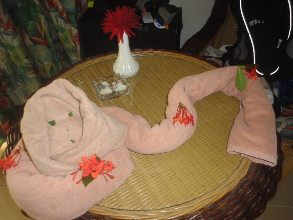 Zimmerdeko Playabachata Hotel