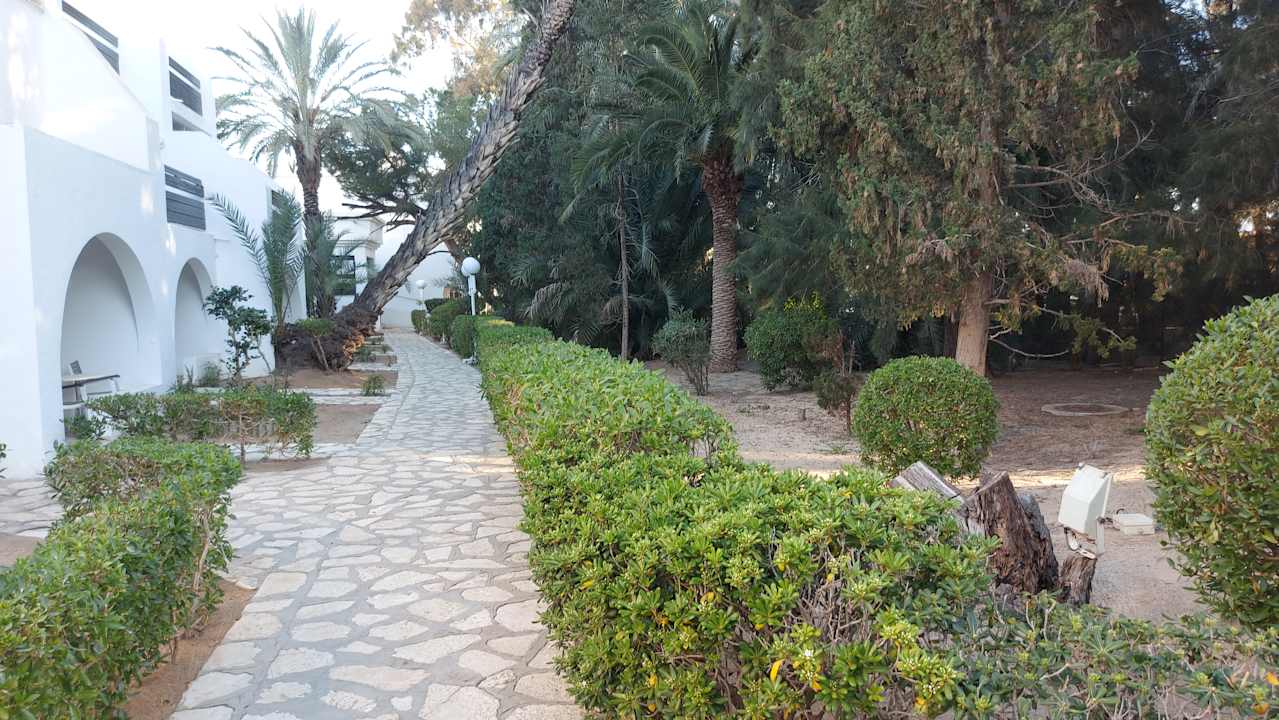 Gartenanlage Marhaba Royal Salem