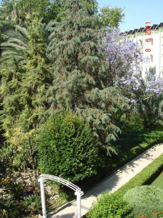 Вид на сад из главного лифта Botanik Hotel & Resort