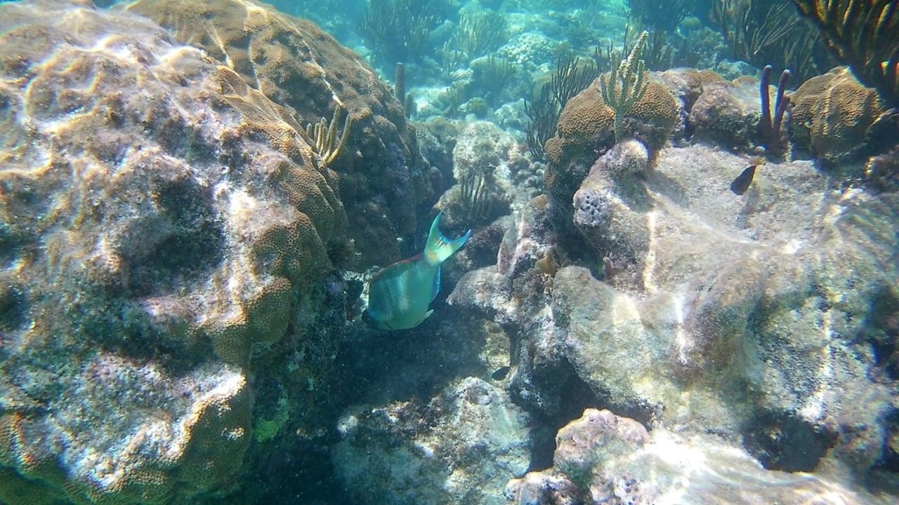 Sport & Freizeit Akumal Bay Beach & Wellness Resort