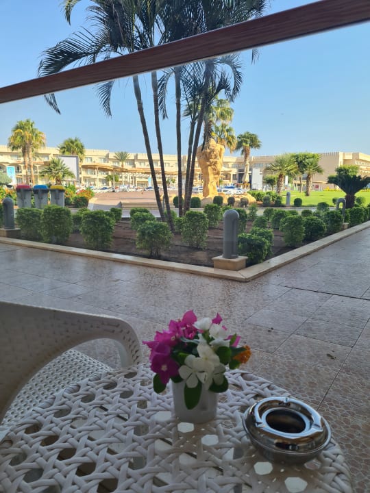 Gastro Pickalbatros Royal Moderna Resort-Sharm El Sheikh