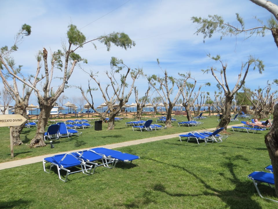 Die schöne Gartenanlage Anissa Beach & Village