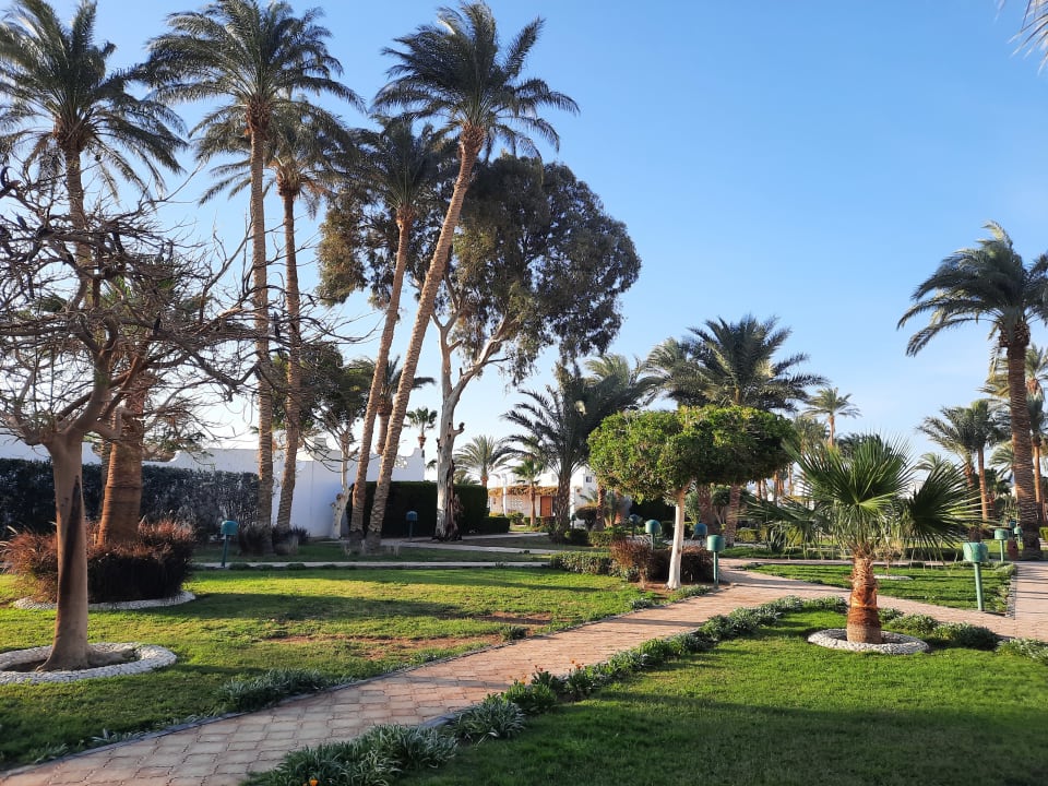 Gartenanlage Shams Safaga Resort