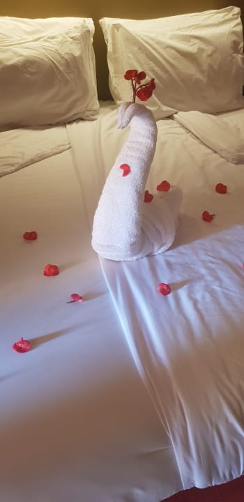 Zimmer Jaz Makadi Oasis Resort