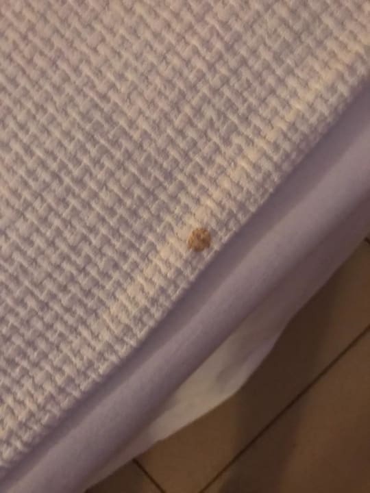 Zimmer Oz Hotels Incekum Beach