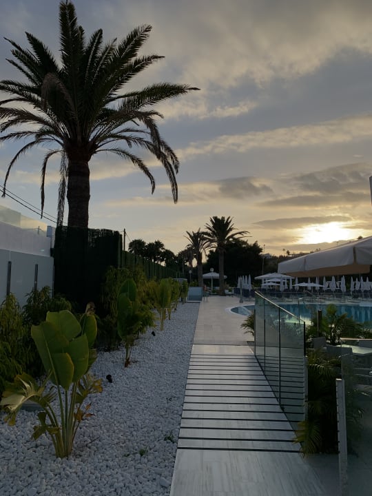 Gartenanlage Canary Garden Club