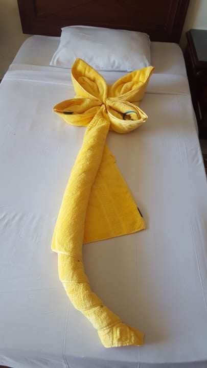 Zimmer Imperial Shams Abu Soma