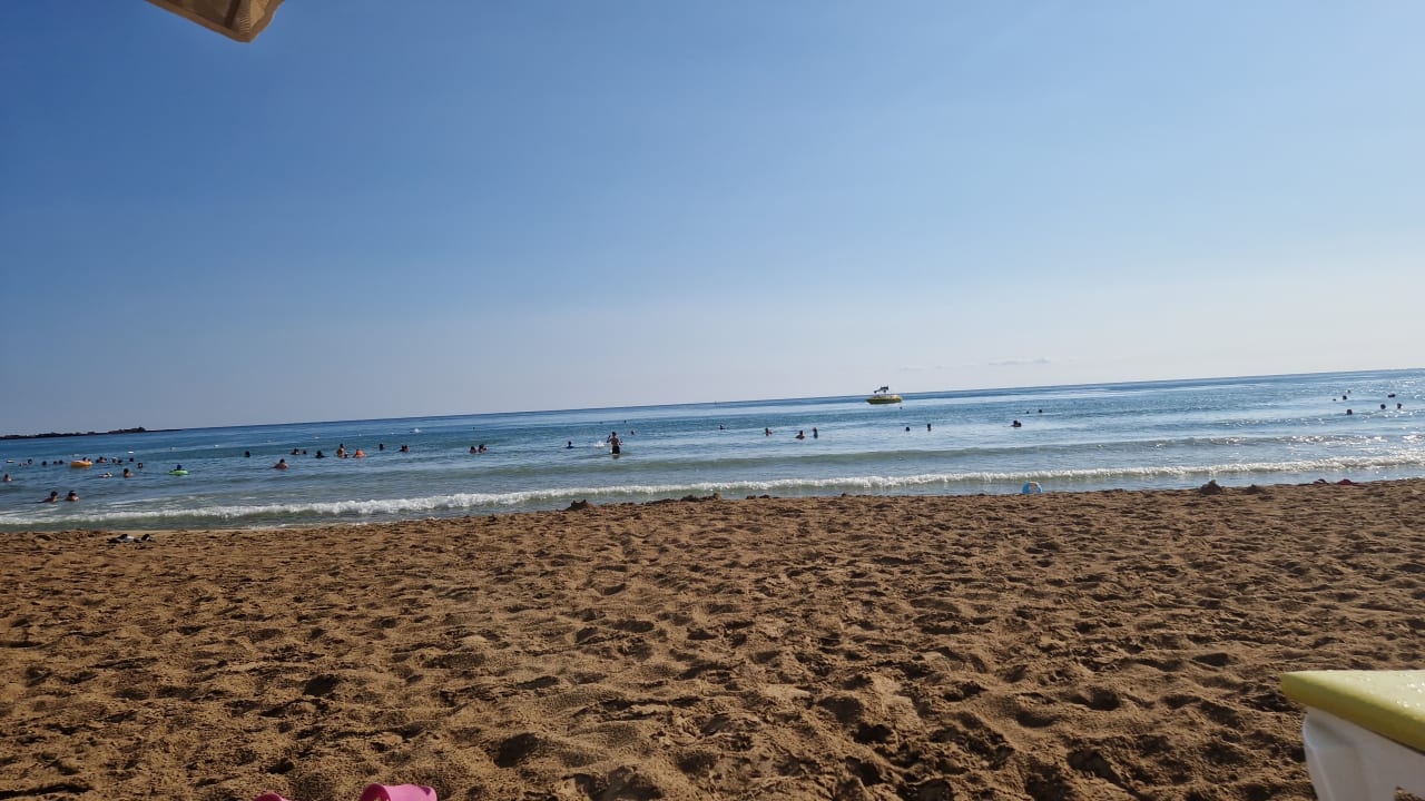 Strand AQI Pegasos Royal