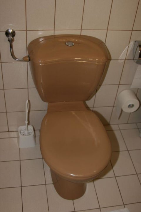 Toilette und Klobürste in der Suite 306 Diehls Hotel