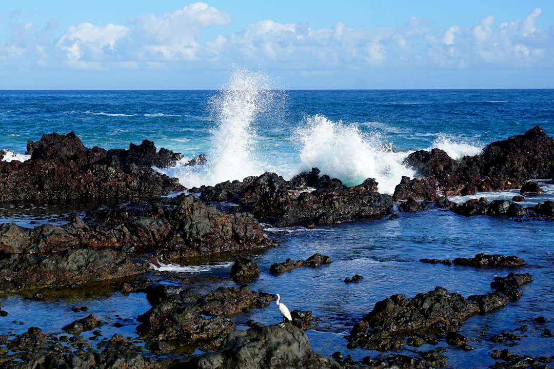 Strand Alua Tenerife